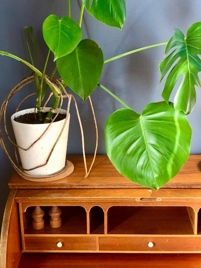 Faerglabbets Bed And Breakfast Sunne Bagian luar foto